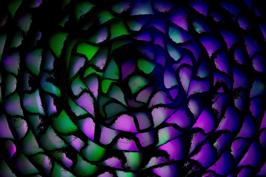 �1757405 �������(a): ����������:2560x1706